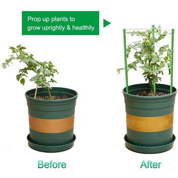 Plant Ondersteuning Kooi Metalen Roestbestendig Tuin Plant Ondersteuning Ring Plant Stake Voor Tomaat Klimmen Plant Bloem